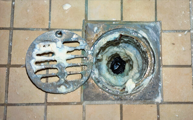 https://blockeddrainsbassendean.com.au/uploads/2025/07/blocked-shower-drains-33151.jpg
