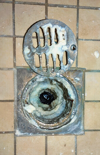 https://blockeddrainsbassendean.com.au/uploads/2025/07/blocked-shower-drains-86331.jpg