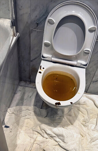 https://blockeddrainsbassendean.com.au/uploads/2025/07/blocked-toilet-27793.jpg