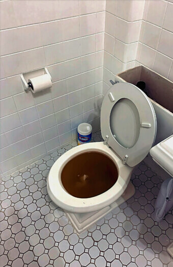 https://blockeddrainsbassendean.com.au/uploads/2025/07/blocked-toilet-42230.jpg