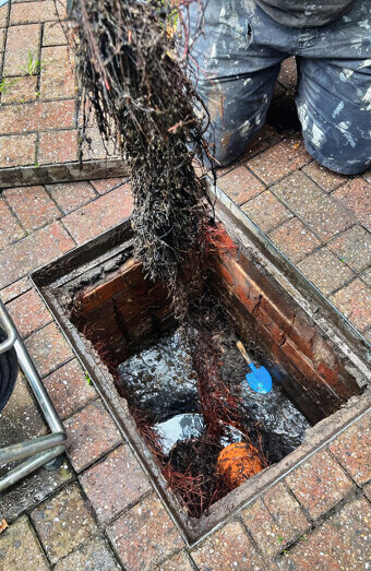 https://blockeddrainsbassendean.com.au/uploads/2025/07/hero-blocked-sewers-68349.jpg