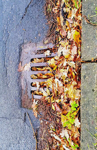 https://blockeddrainsbassendean.com.au/uploads/2025/07/stormwater-drains-48051.jpg